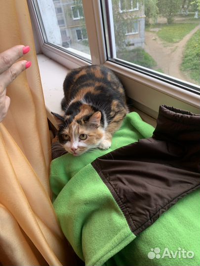 Маскарадная