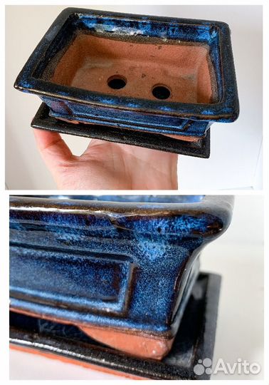 Бонсайницы, кактусник, мини садик