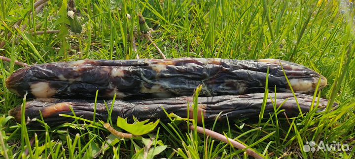 Гусь вяленый Гусь копченый Утки Казылык