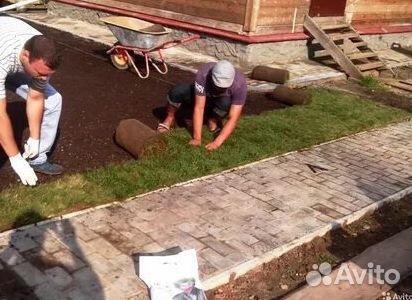 Газон рулонный гарантия