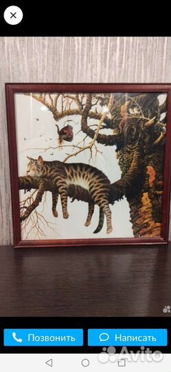 Картины и постеры кошки