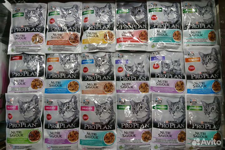 Proplan для кошек паучи и сухой корм