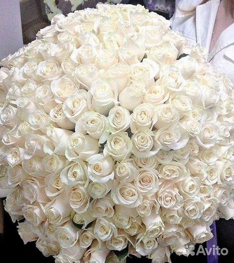 Цветы розы букеты Доставка