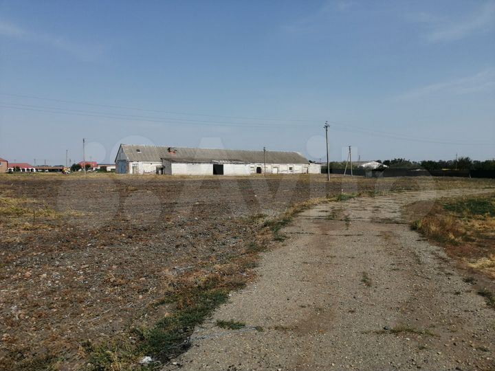 Молочная ферма 90голов