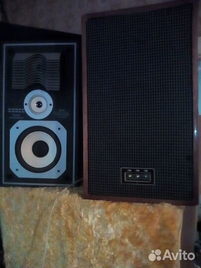 Акустика rodec RC100 и Вега 25ас-302