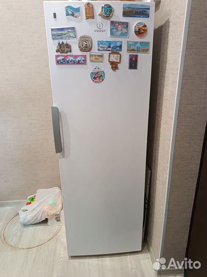 Морозильная камера indesit DFZ 5175