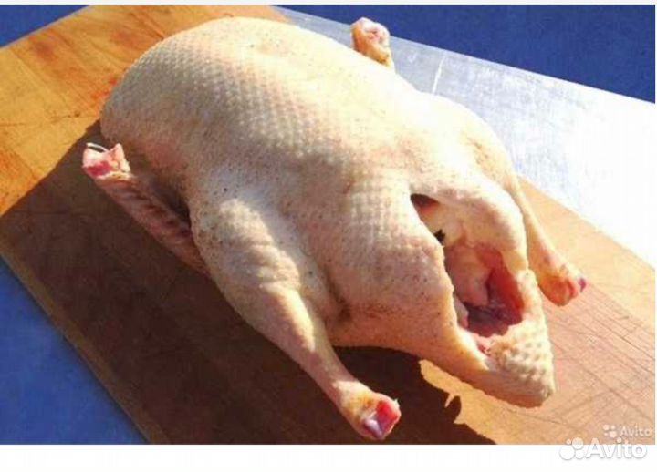 Деревенсий гусь