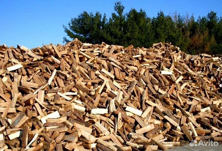 Дрова из леса