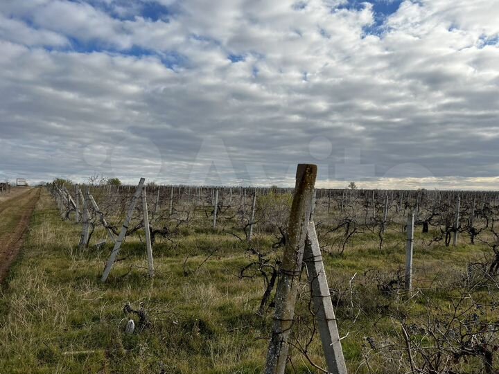 Участок 4 га (СНТ, ДНП)