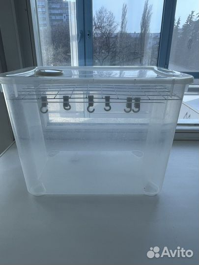 Ферма (инсектарий) для выведения бабочек