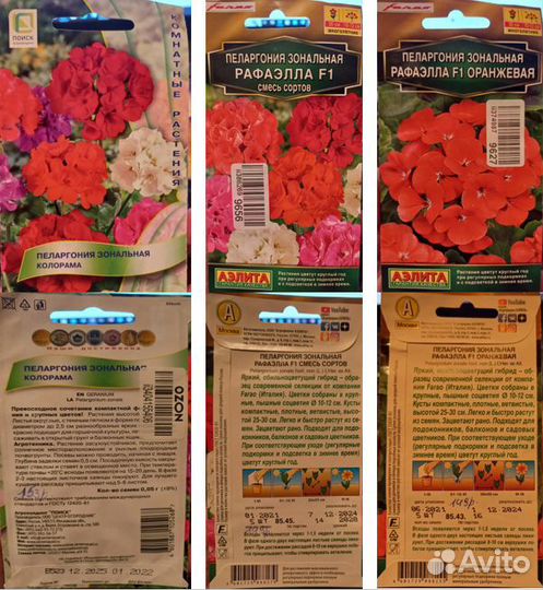 Пеларгония семена
