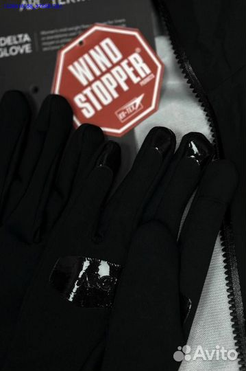 Перчатки Arcteryx (Арт.19545)
