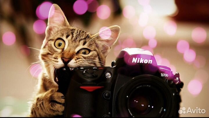 Фотопрогулка