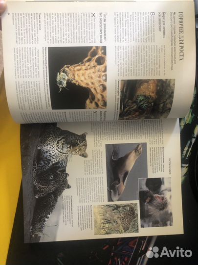 Секреты природы