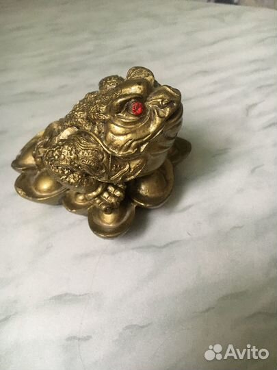 Денежная лягушка