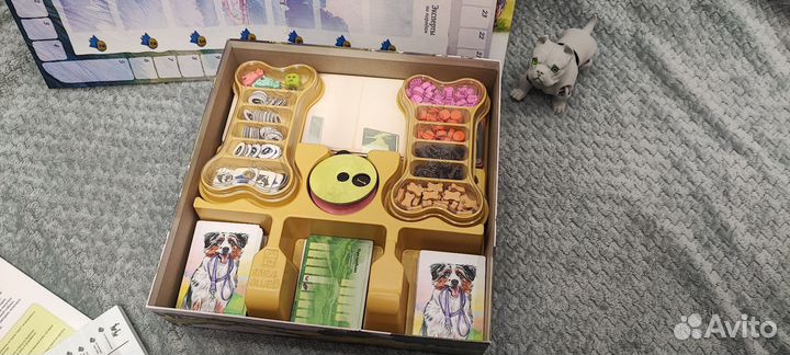 Прогулки с собаками в идеале