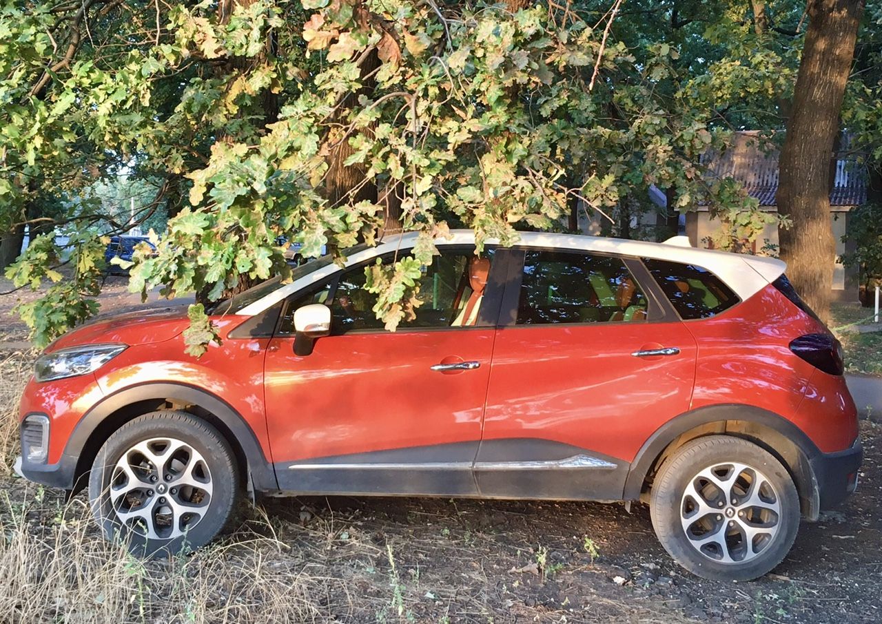Renault Kaptur: фото владельца
