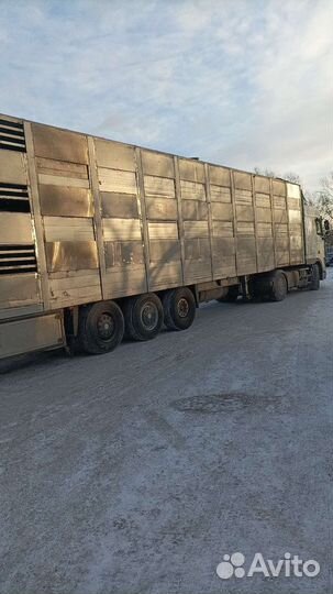 Полуприцеп для перевозки скота Lecitrailer P3S, 2008