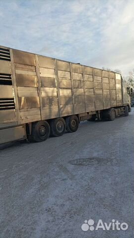 Полуприцеп для перевозки скота Lecitrailer P3S, 2008