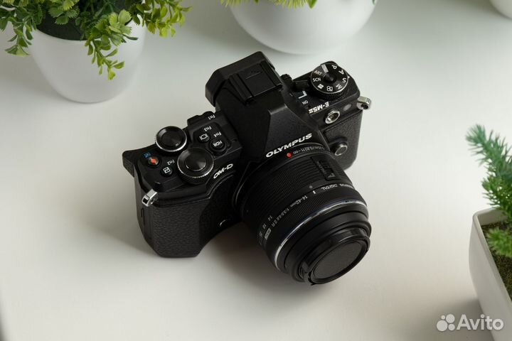 Olympus OM-D E-M5 Mark II Kit