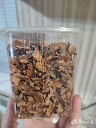 Перегородки грецких орехов