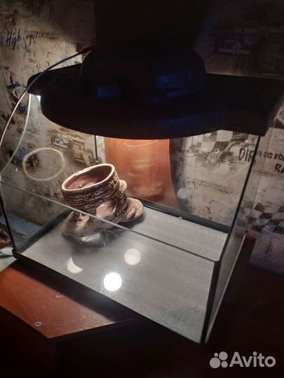 Аквариум черепашник