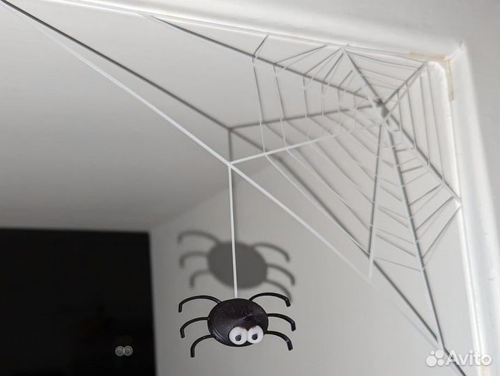 Паук декоративный