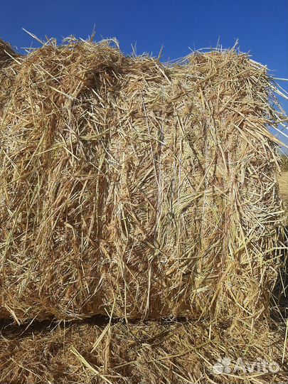 Рисовое сено