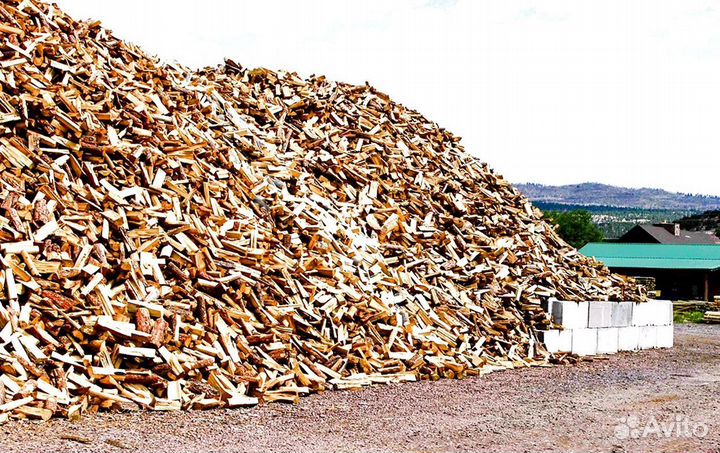 Кора березы