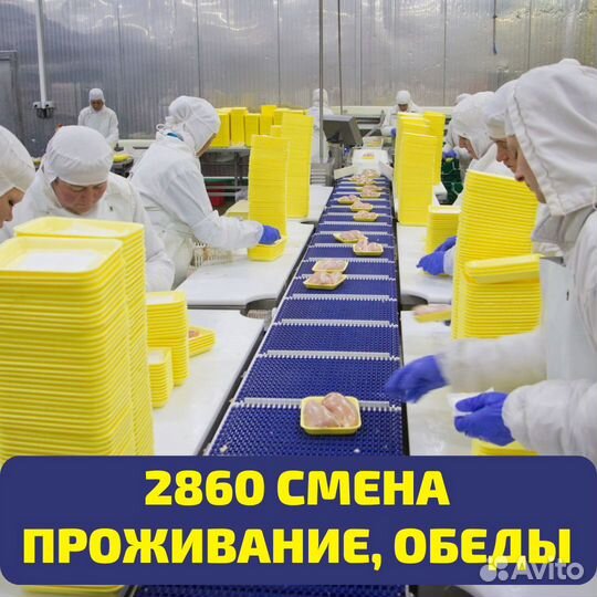 Выезд из Оренбурга, вахта Пенза, упаковщик