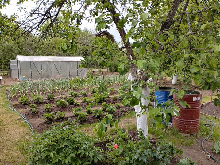 Дача 36 м² на участке 6 сот.