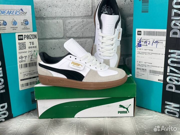 Puma Palermo classic