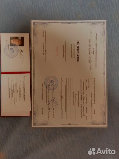 Уничтожение тараканов клопов блох короеда мышей ос