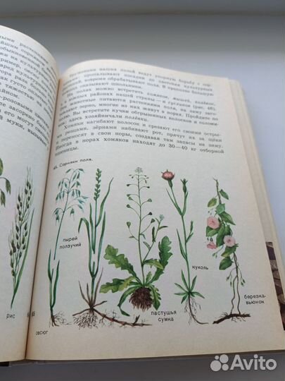 Природоведение 3-5 класс Мельчаков