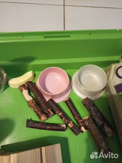 Клетка для сирийского хомяка, Краснодар