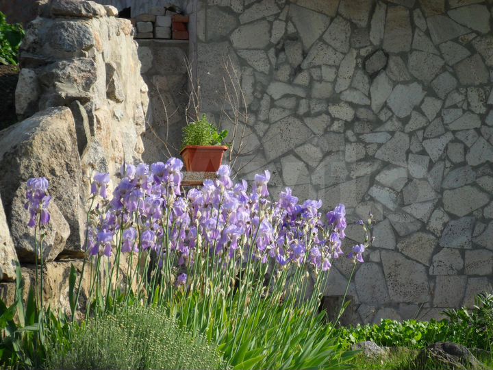 Дом 85 м² на участке 10 сот.