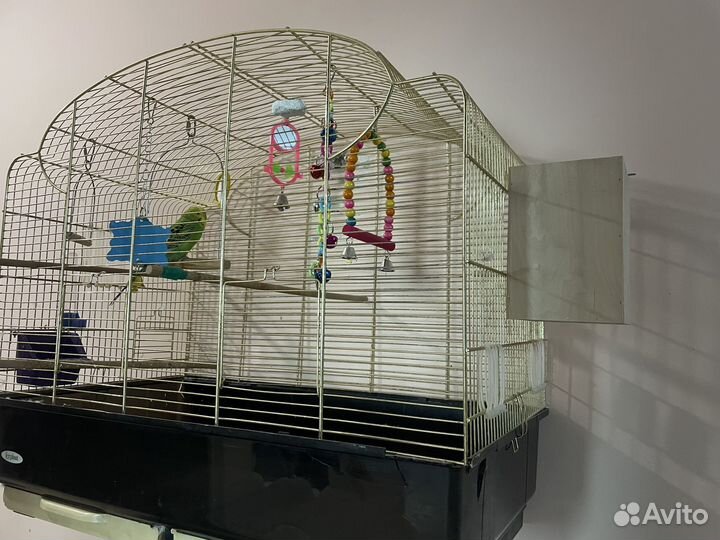 Клетка для попугая