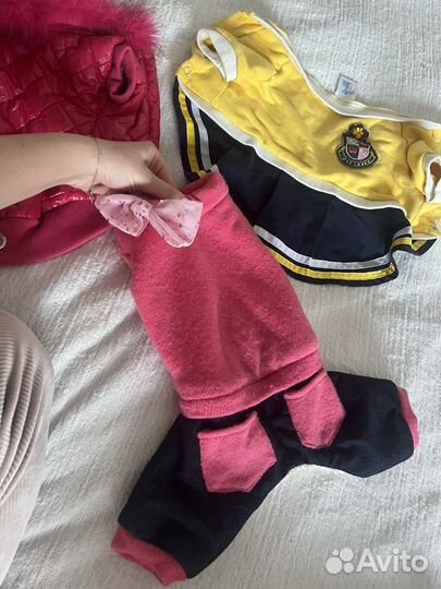 Одежда для собак