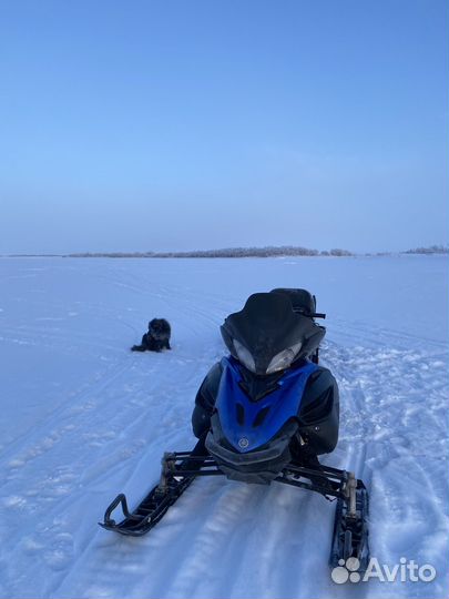 Yamaha Apex X-TX