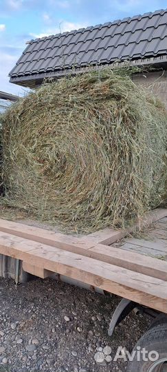 Солома и сено в тюках с доставкой
