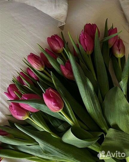 Букет из тюльпанов