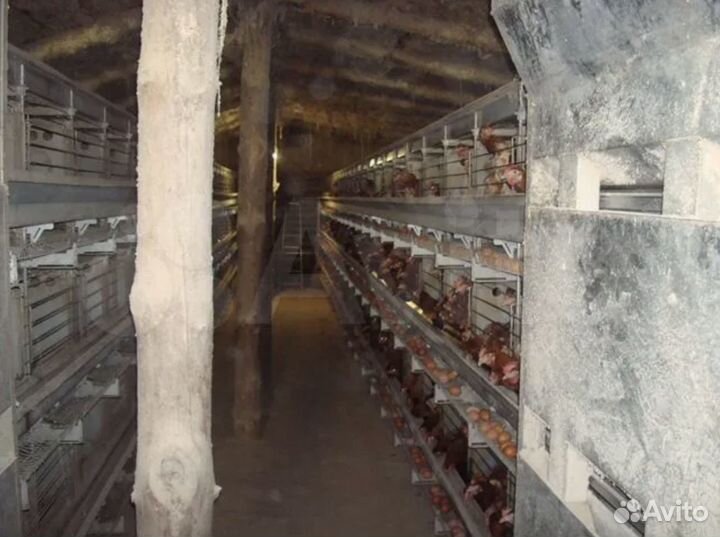 Продажа кфх с доходом 500тр/мес