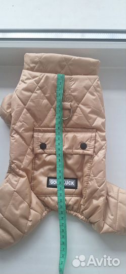 Одежда для собак