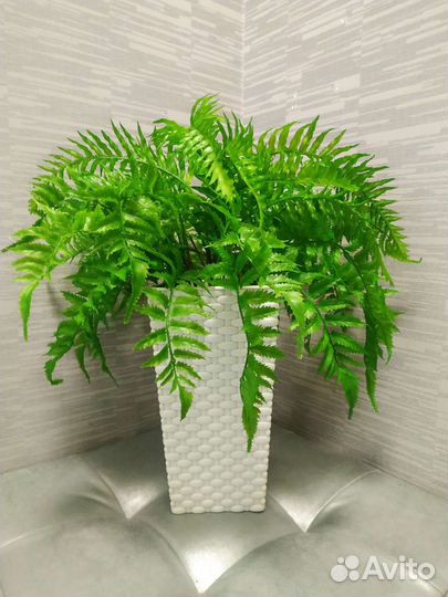 Искусственное дерево папоротник,композиция в кашпо