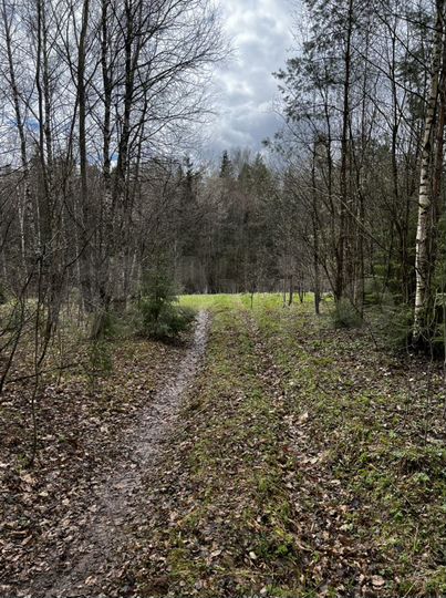 Участок 15 сот. (ИЖС)