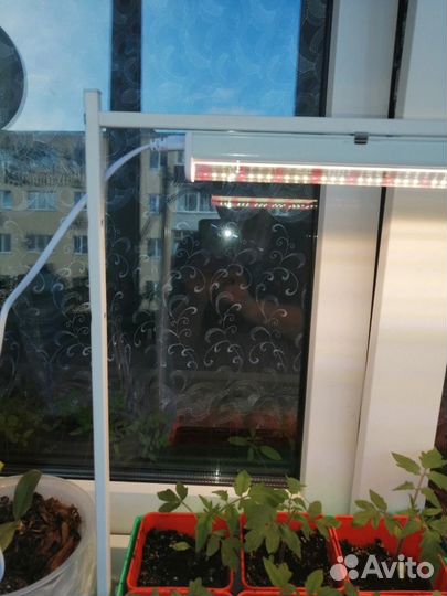 Фитосветильник для растений Uniel ULI-P18-15W