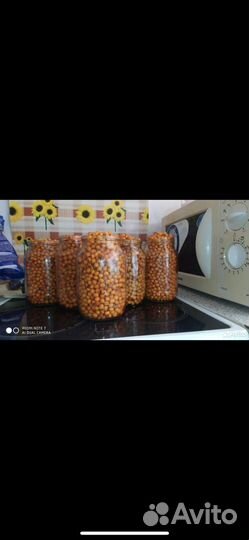 Облепиха ягоды