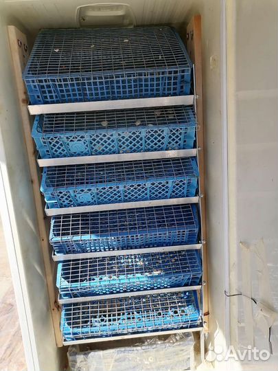 Продаю инкубатор самодельный на 360 куриных яиц