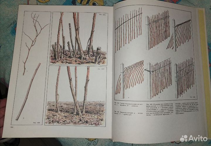 Обрезка плодовых деревьев и ягодных кустарнв книга