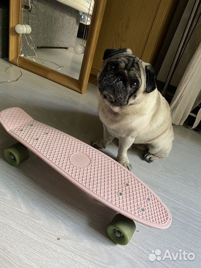 Пениборд 57 см